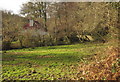 Ivy Cottage and Packsaddle Bridge