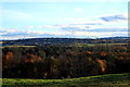 Above Oliver Street Lochore