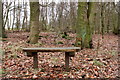 Bench in Harran Hill Woods