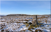 NY8224 : Trig point on Mickle Fell by Trevor Littlewood