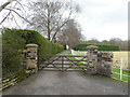 Driveway to Rose Leigh House