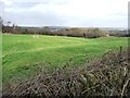 Small valley south of Hattersley Wood