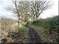 Bridleway descending Bentcliff Hill