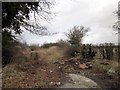 Disused Lane near Lea-by-Backford