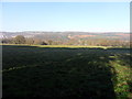 Long shadows at Byerside