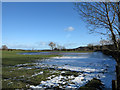 Field east of Peartree Terrace