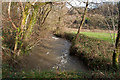 Looking upstream from an old bridge on the River Yeo near Snapper