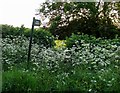 Footpath to Worthington