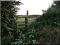 Footpath towards Griffydam