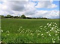 Fields west of Nottingham Road