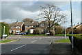 Houses on Hillside Road