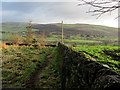 Footpath leading away from Hollins Lane