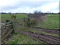 Field gate north of Collingholme