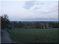 Path in Springfield Park, Stamford Hill