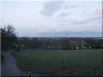 TQ3487 : Path in Springfield Park, Stamford Hill by David Anstiss