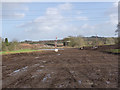 Across the Fairham Brook