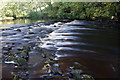 Black Lyne at Wickerthwaite