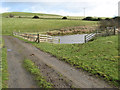 Farm track and lake