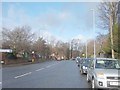 Harrogate Road - viewed from Montreal Avenue