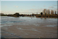 SK7953 : River Trent by Richard Croft