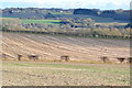 SU1521 : View across fields towards Downton by David Martin