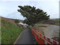 South West Coast Path at Pendower Beach