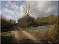 Farm track to barns, Hutcherleigh