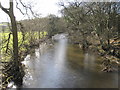 River Goyt, Strines