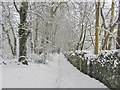 Restricted byway north of St Fagans