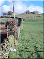 Footpath - Syke Lane to Brighouse Road