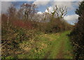 Footpath to Cliston