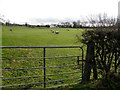 Tattyreagh Glebe Townland