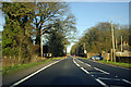 A31 at Almer