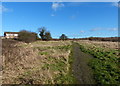 Path across grassland