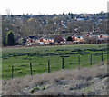 Houses on the edge of Oadby