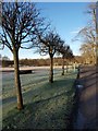 Road out of Pollok Park