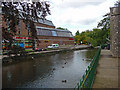 Andover - The River Anton