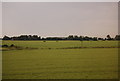 TL4705 : Farmland by the M11 by N Chadwick