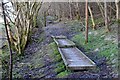 Boardwalk in Whitlaw Wood