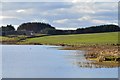 NT4911 : Williestruther Loch near Hawick by Jim Barton