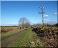 The Lower Icknield Way