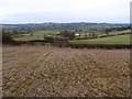 Everdon Hill towards Nenham