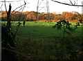 Pylon in meadow near Wootton Common