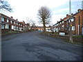 Lime and Rowan Road View