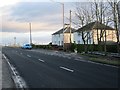 A905, Poppletrees