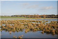 SJ8925 : Flooding in the Sow Valley by N Chadwick