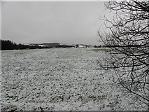 H5375 : Wintry at Fernagh by Kenneth  Allen
