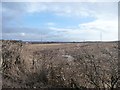 Farmland south of High Moor Farm [2]