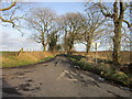 Gloster Hill Road towards Gloster Hill