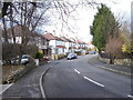 Woodbourne Avenue - Scott Hall Road